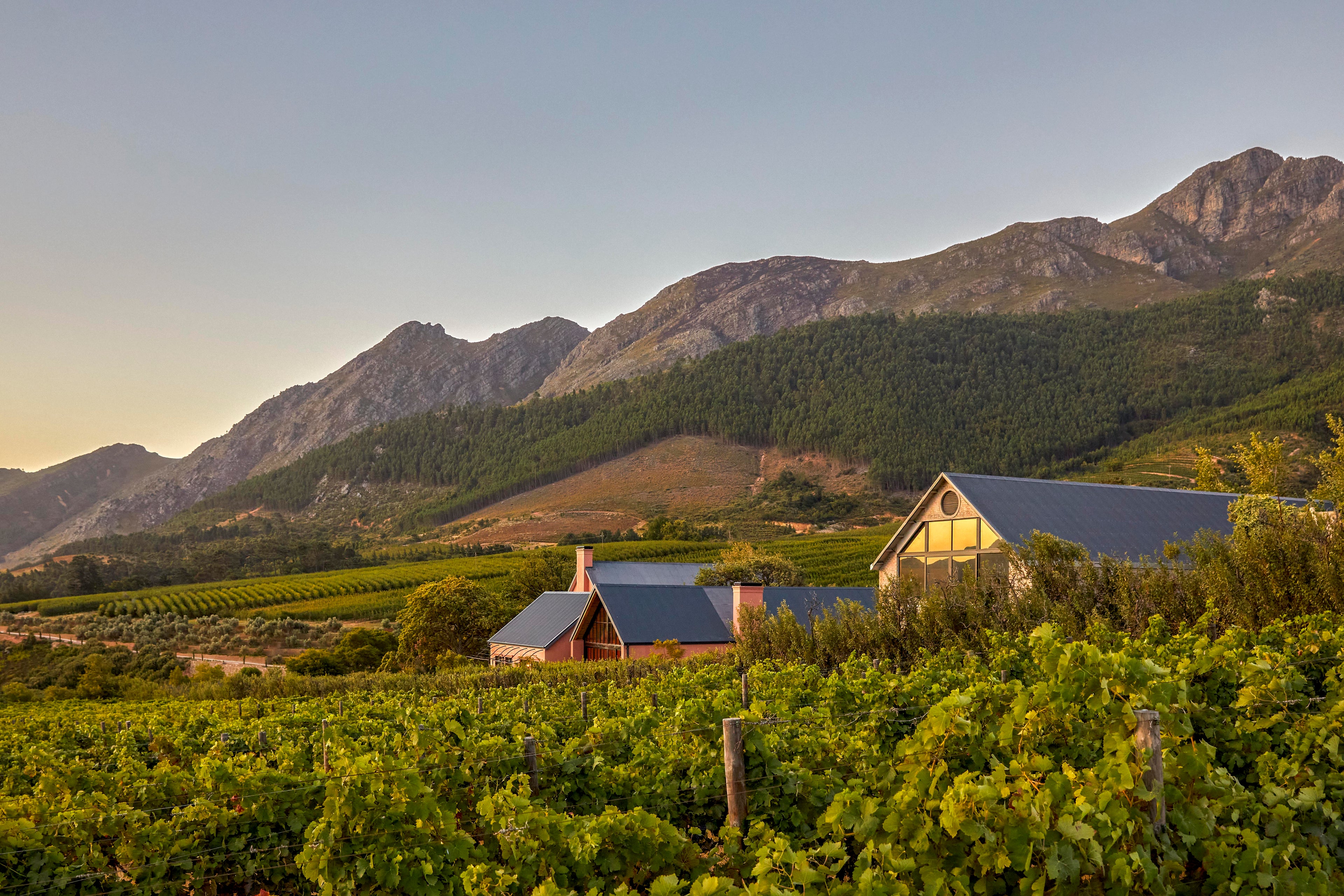 Franschhoek House