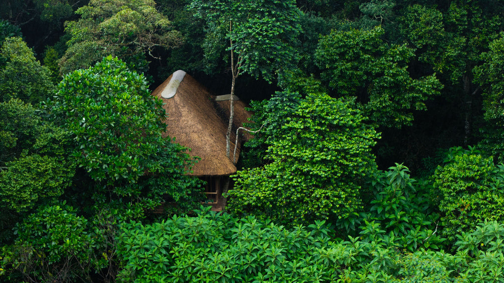 Koroi Forest Camp Chalet
