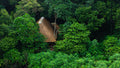 Koroi Forest Camp Chalet