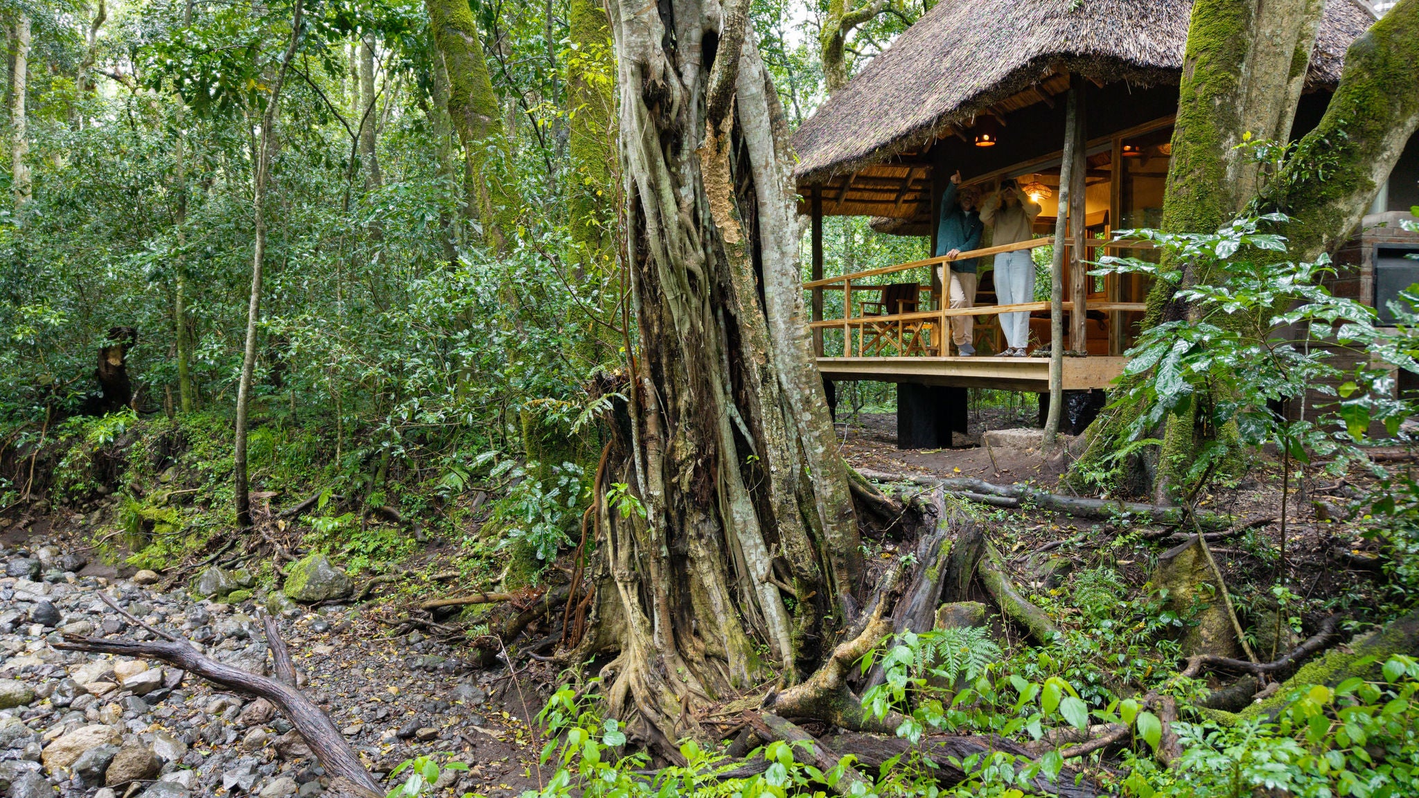 Koroi Forest Camp Chalet