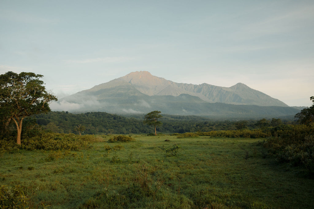 Arusha National Park - Koroi Forest Camp