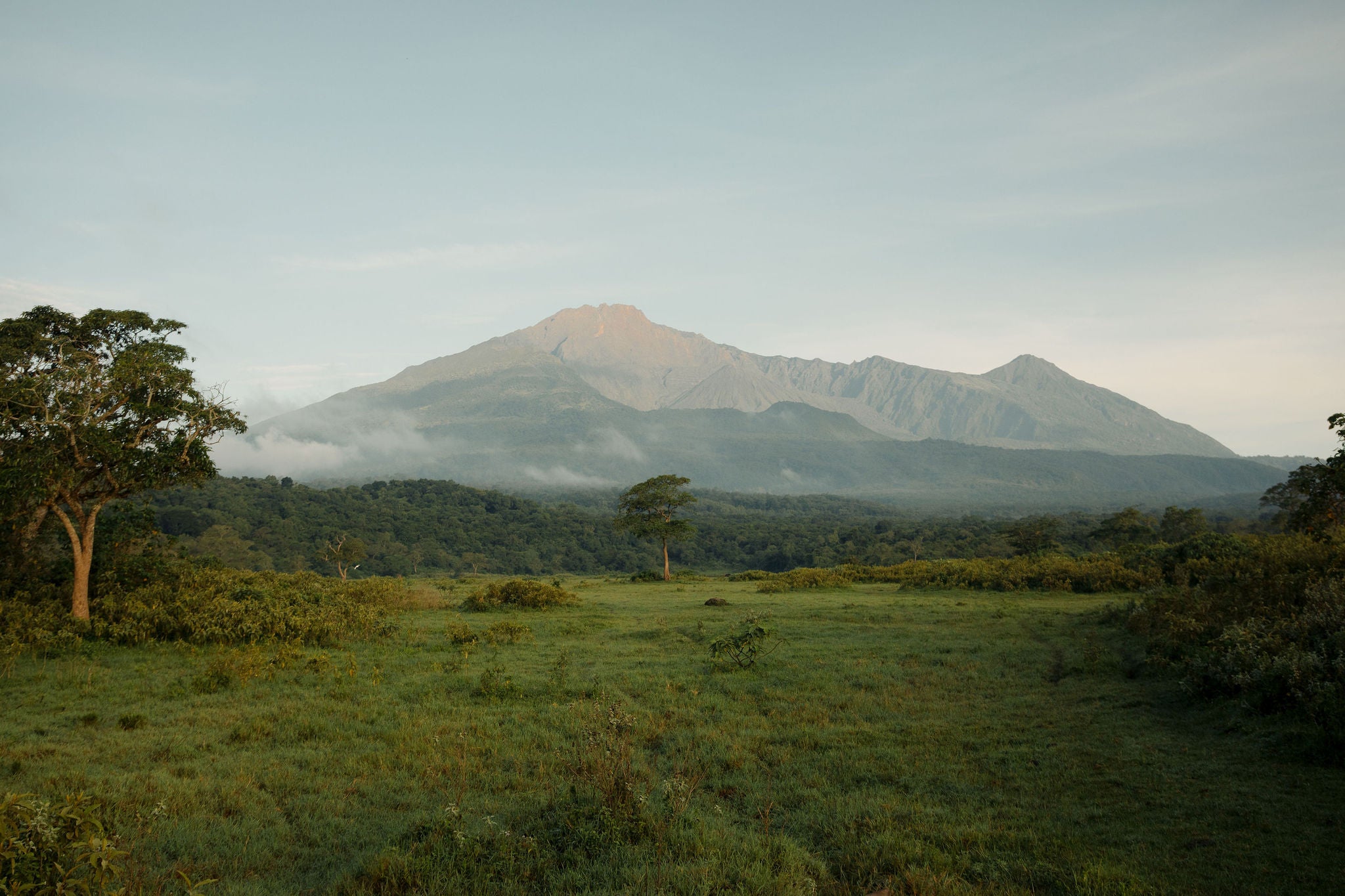 Arusha National Park - Koroi Forest Camp