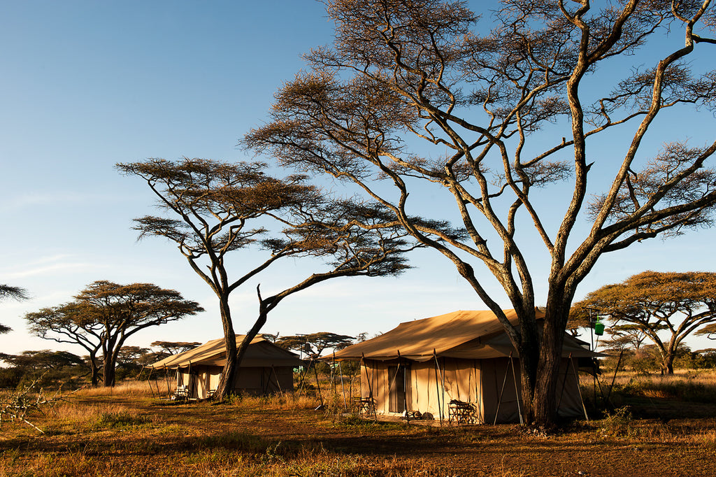 Mara Under Canvas - North Serengeti