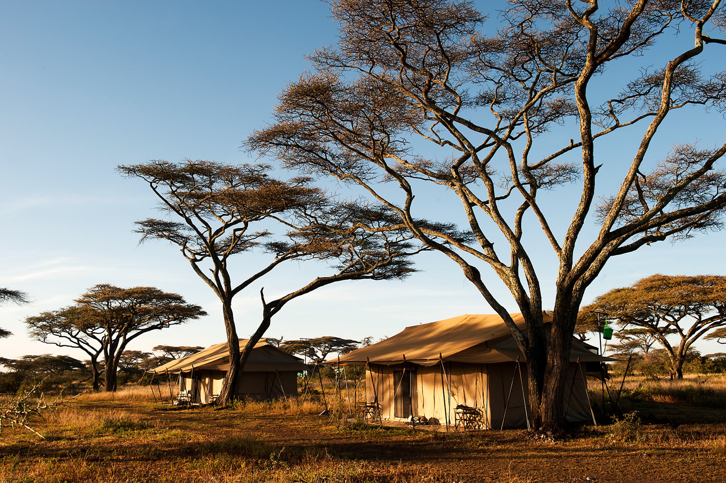 Mara Under Canvas - North Serengeti