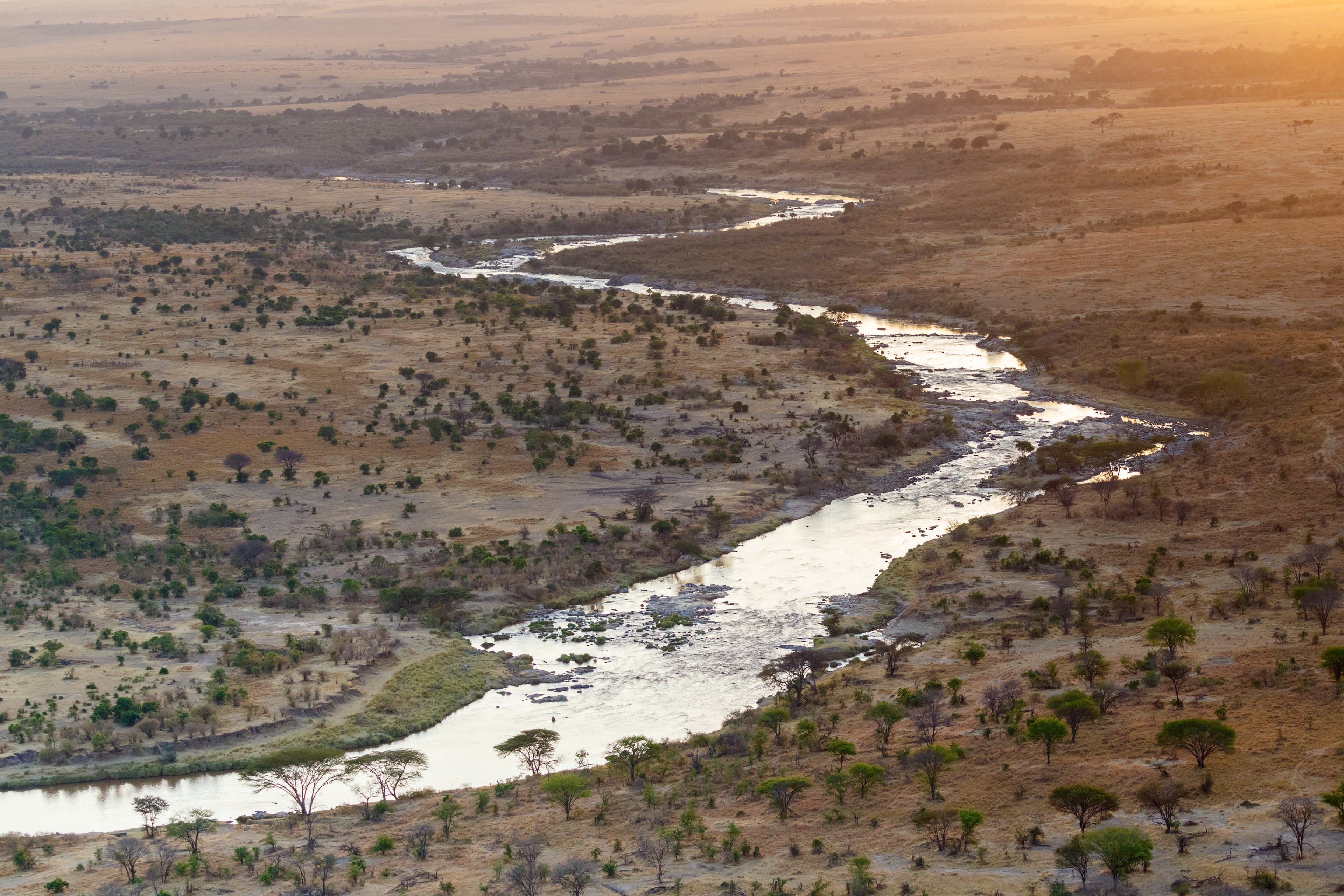 Mara River