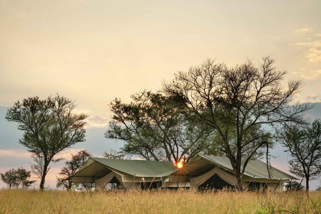 TAASA Migration Camp - Family Tent