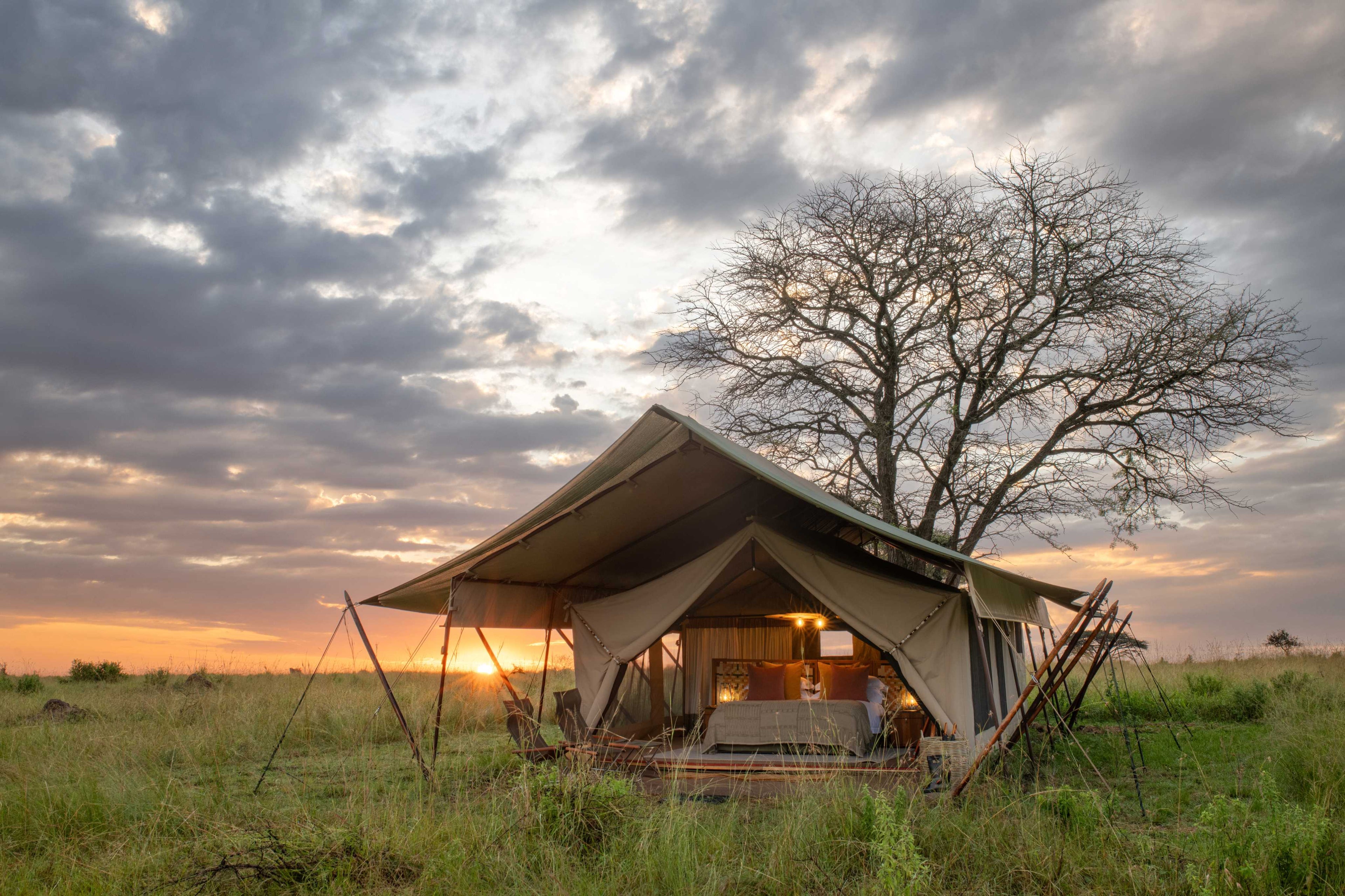 TAASA Migration Camp - Tented suite