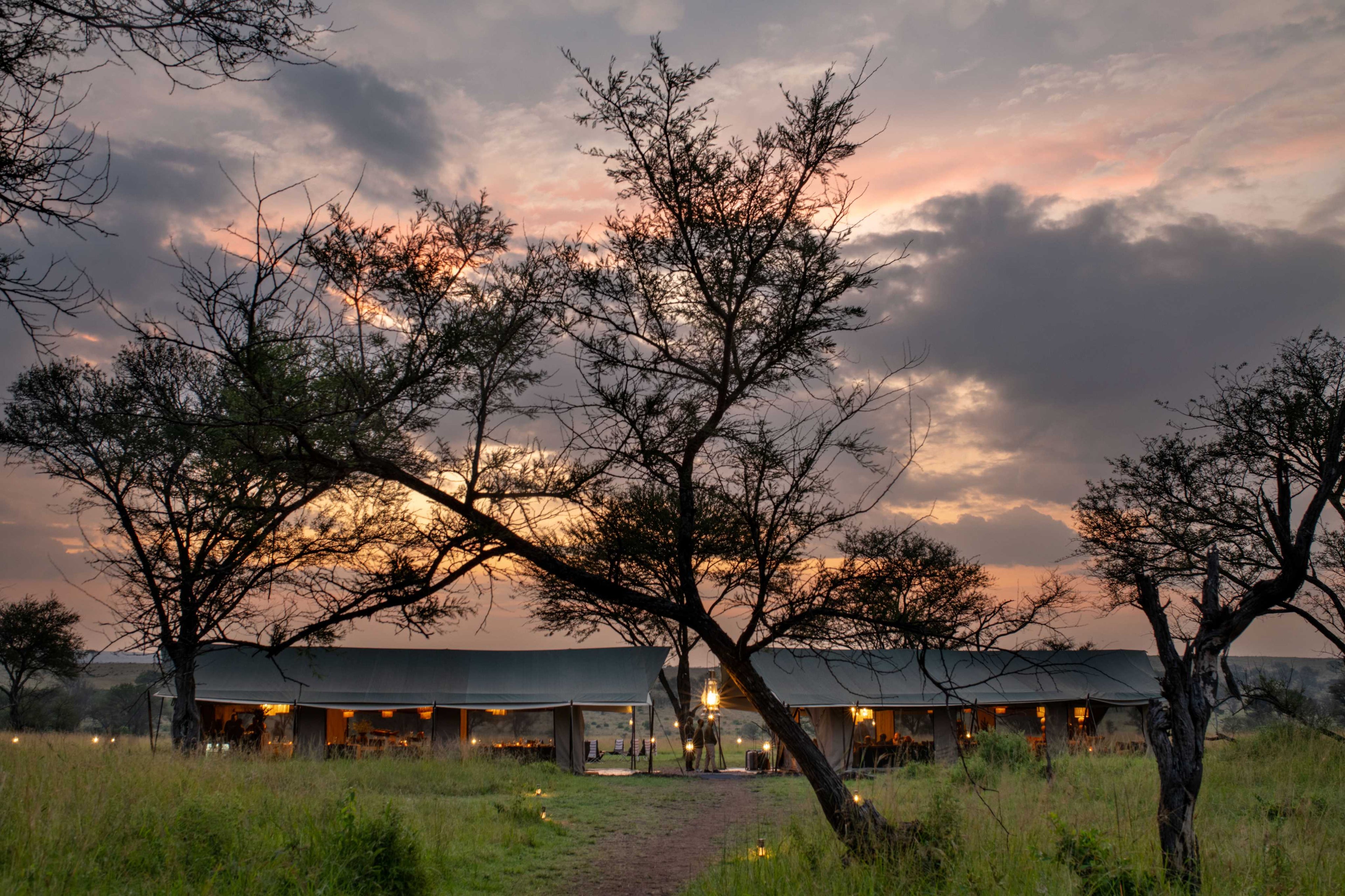 TAASA Migration Camp - Lounge & dining tent exteriors