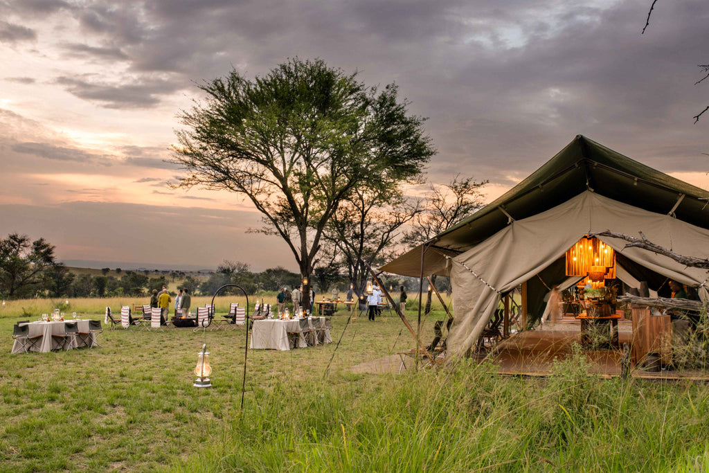 TAASA Migration Camp - Boma Dinner