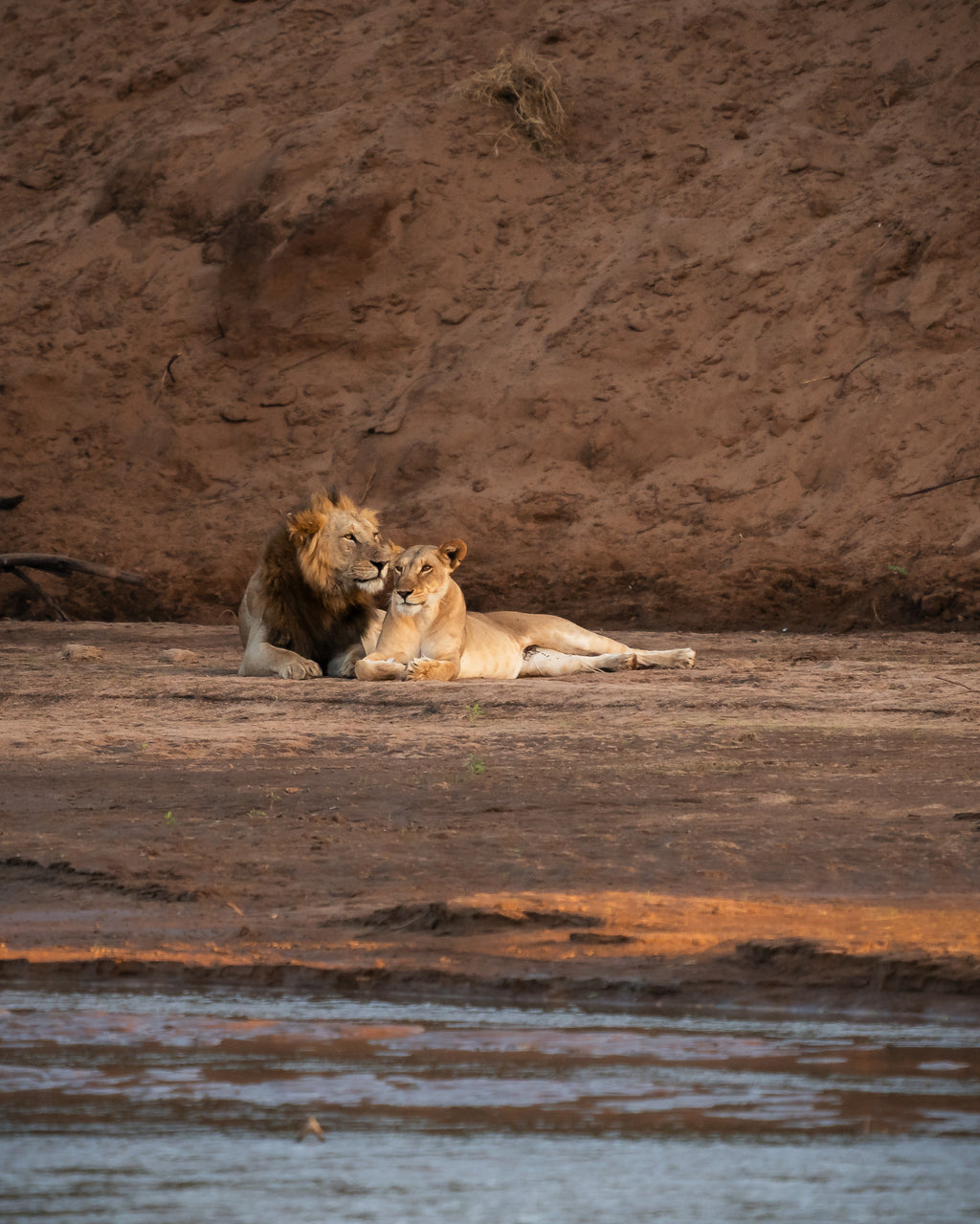 Sarara Wilderness