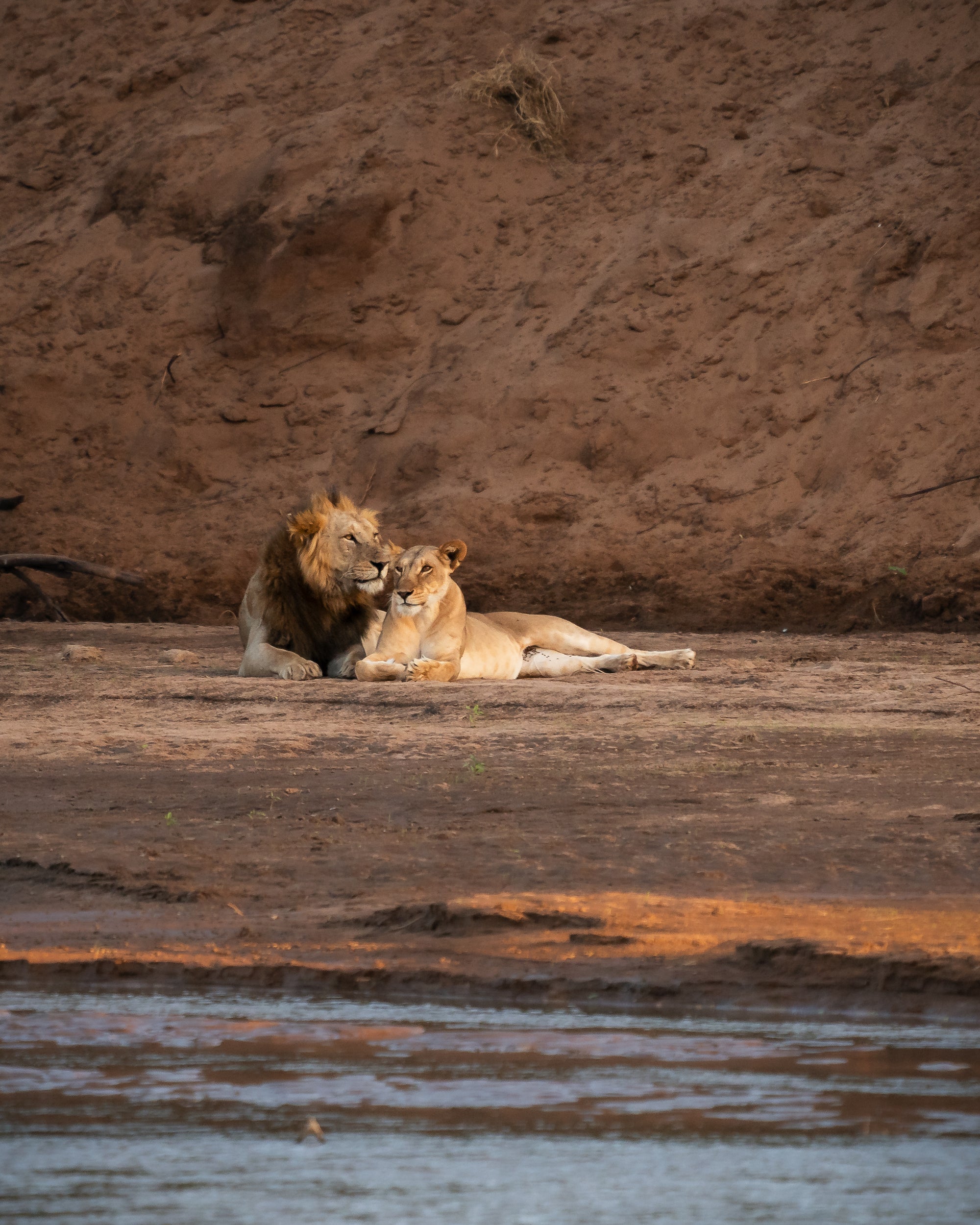 Sarara Wilderness
