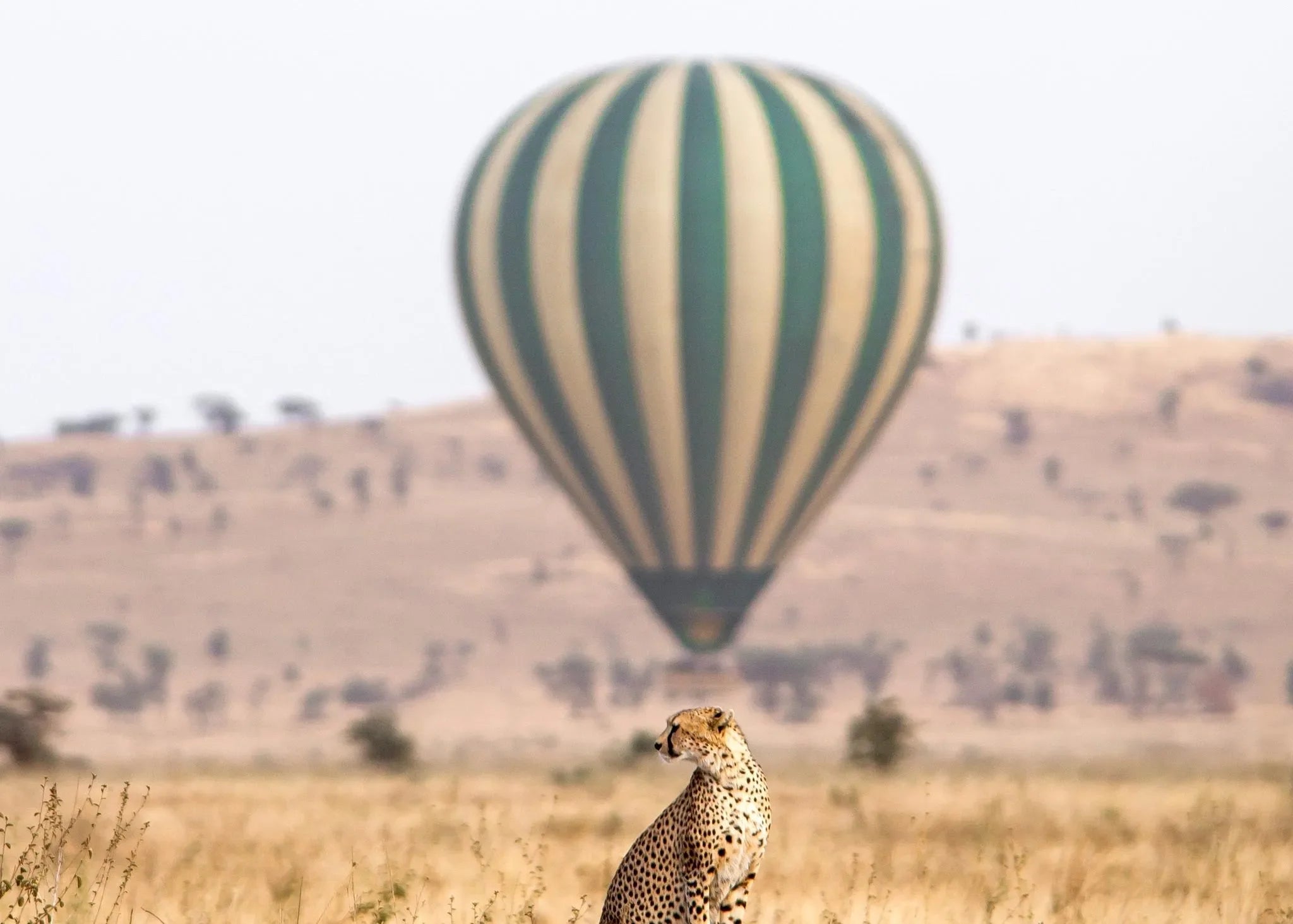 Hot air ballooning
