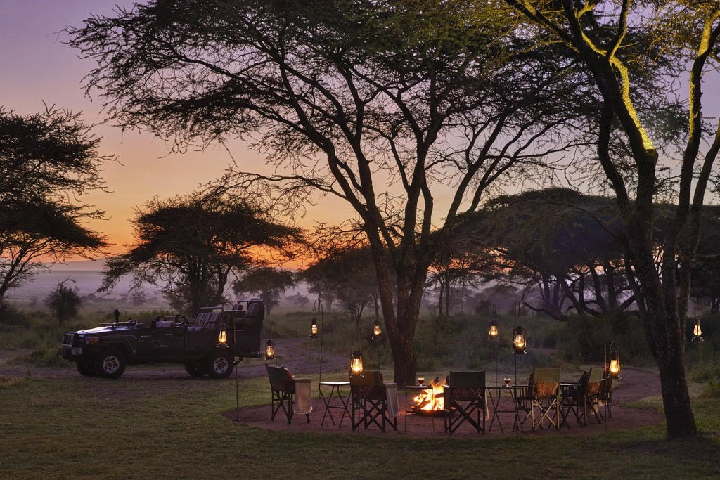 Nyasi at Nyasi Migrational Camp - Northern Serengeti (Lamai), Northern Serengeti, Tanzania.