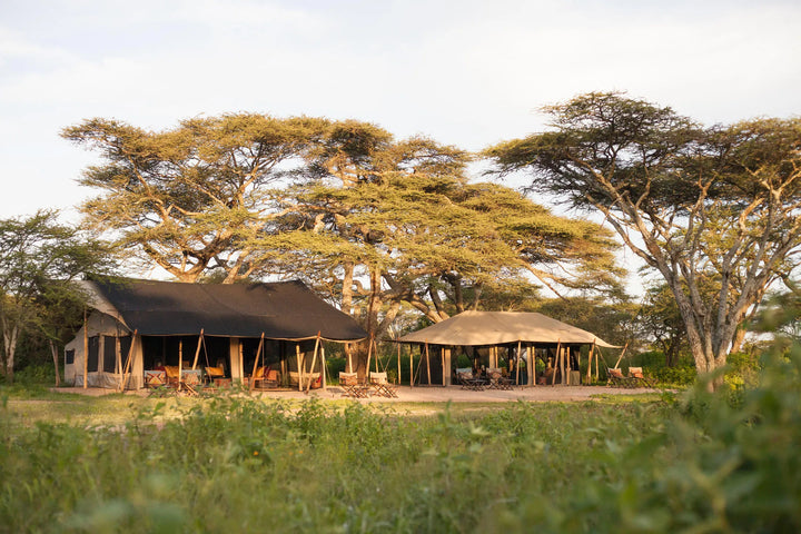 Nyasi Migrational Camp - Northern Serengeti (Lamai)