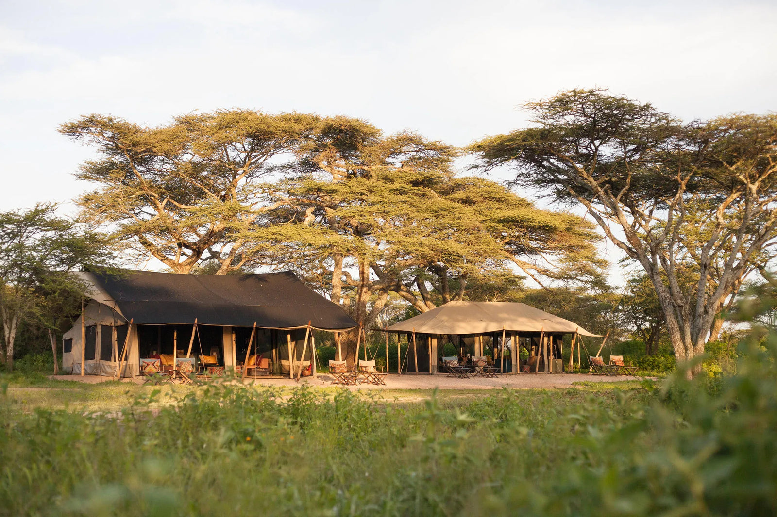 Nyasi Migrational Camp - Northern Serengeti (Lamai)