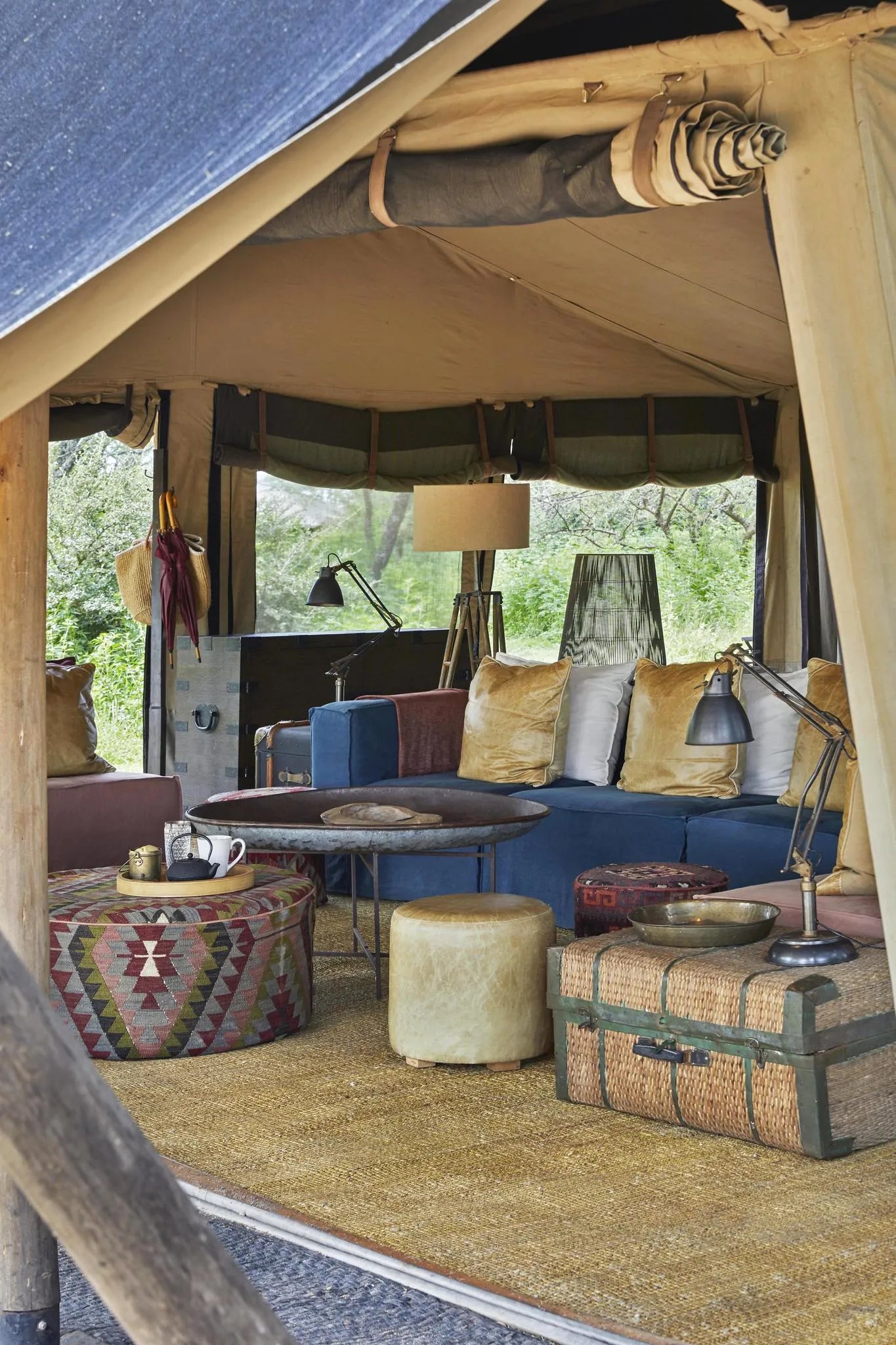 Nyasi at Nyasi Migrational Camp - Northern Serengeti (Lamai), Northern Serengeti, Tanzania.
