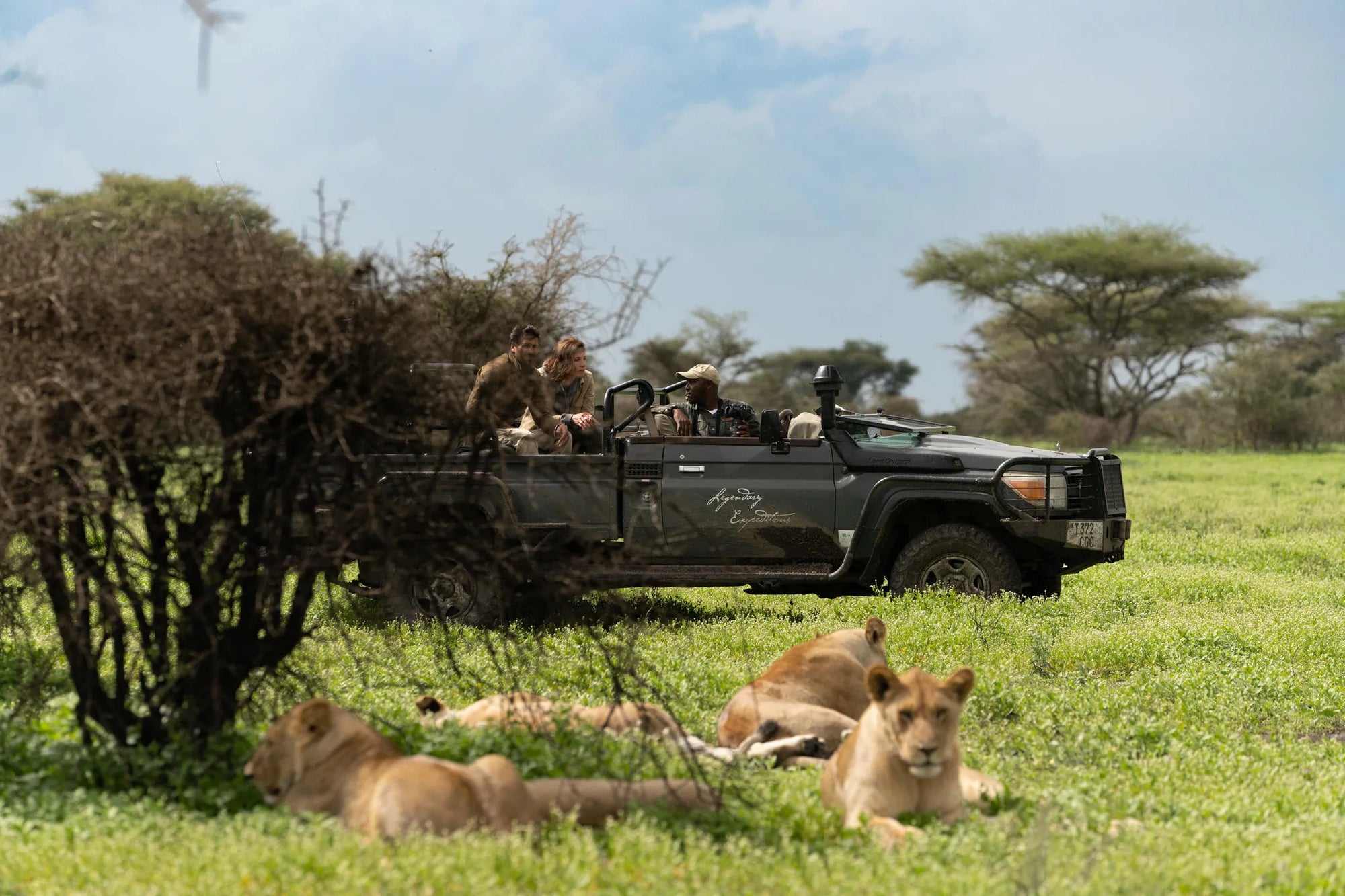 Nyasi at Nyasi Migrational Camp - Northern Serengeti (Lamai), Northern Serengeti, Tanzania.