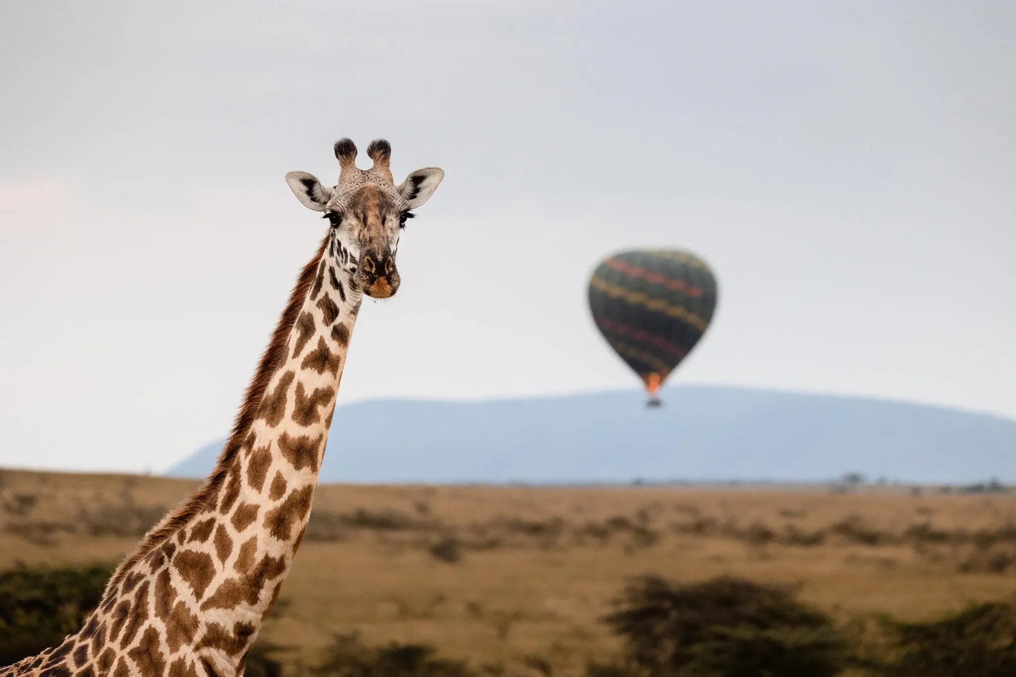 Hot-Air-Balloon at Hemingways River Camp Mara, Mara North Conservancy, Kenya.