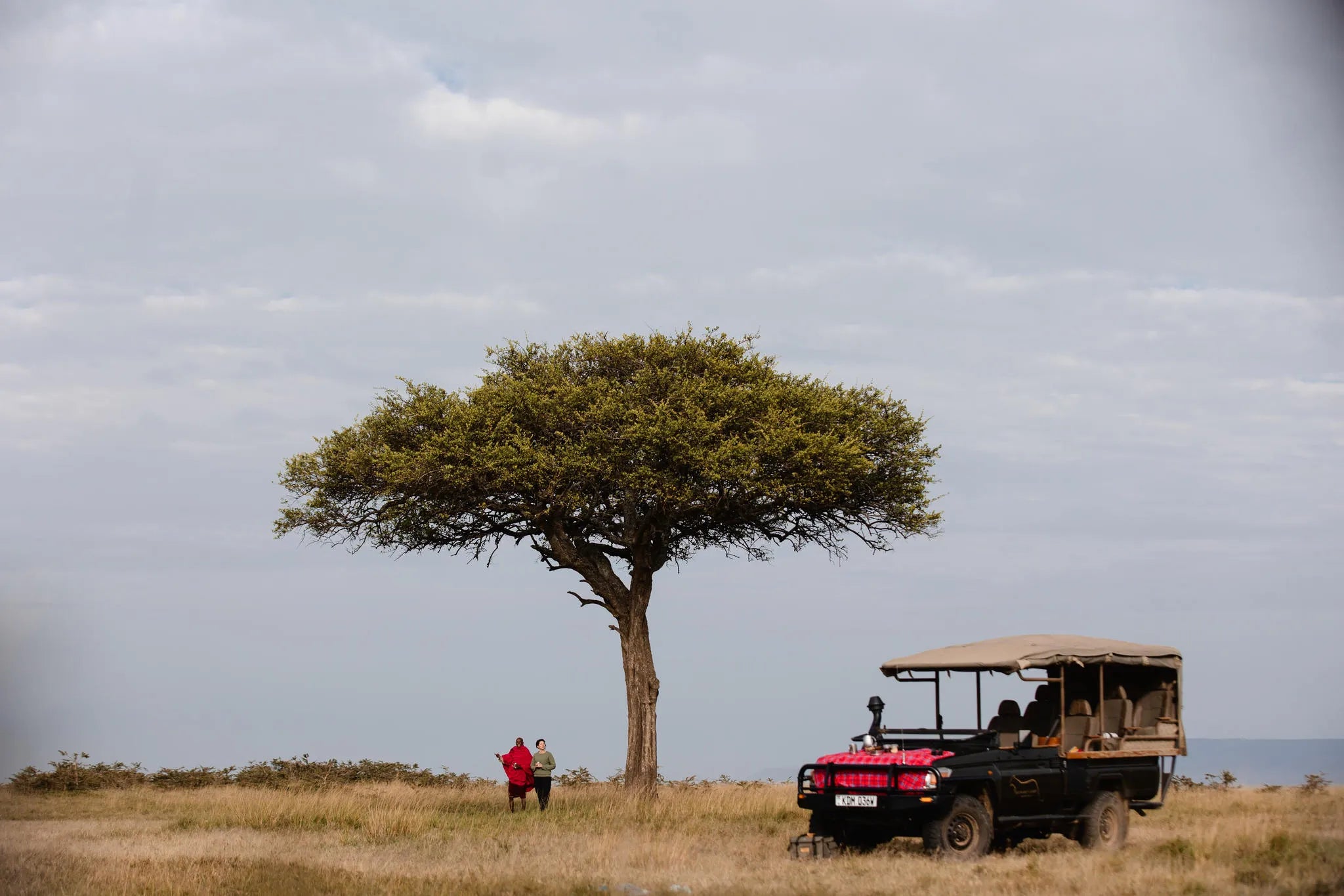 Wildlife at Hemingways River Camp Mara, Mara North Conservancy, Kenya.