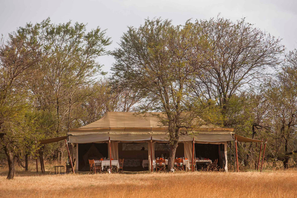 Ndutu Under Canvas -South Serengeti