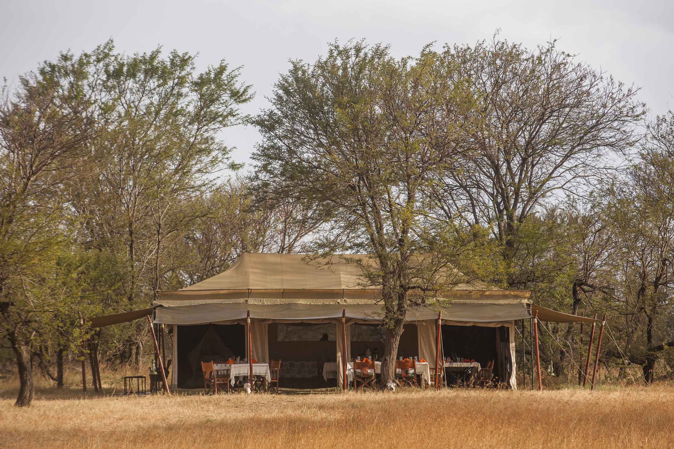 Ndutu Under Canvas -South Serengeti