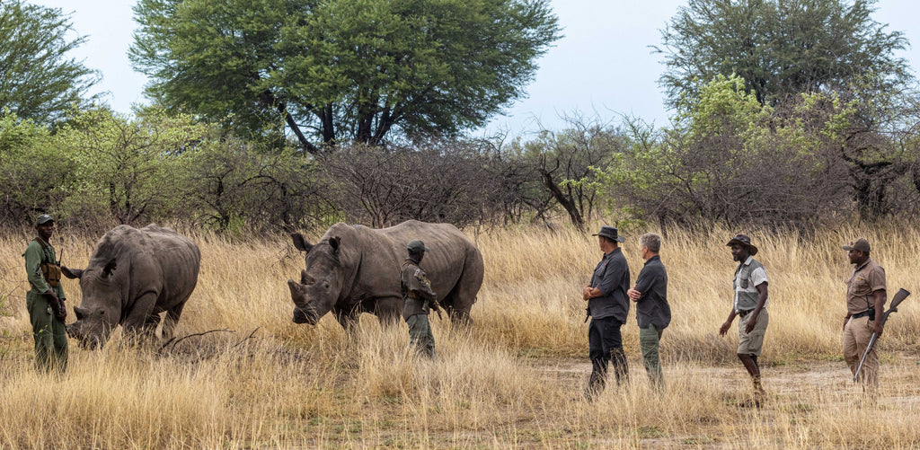 Rhino experience at Ngamo Wildlife Sanctuary