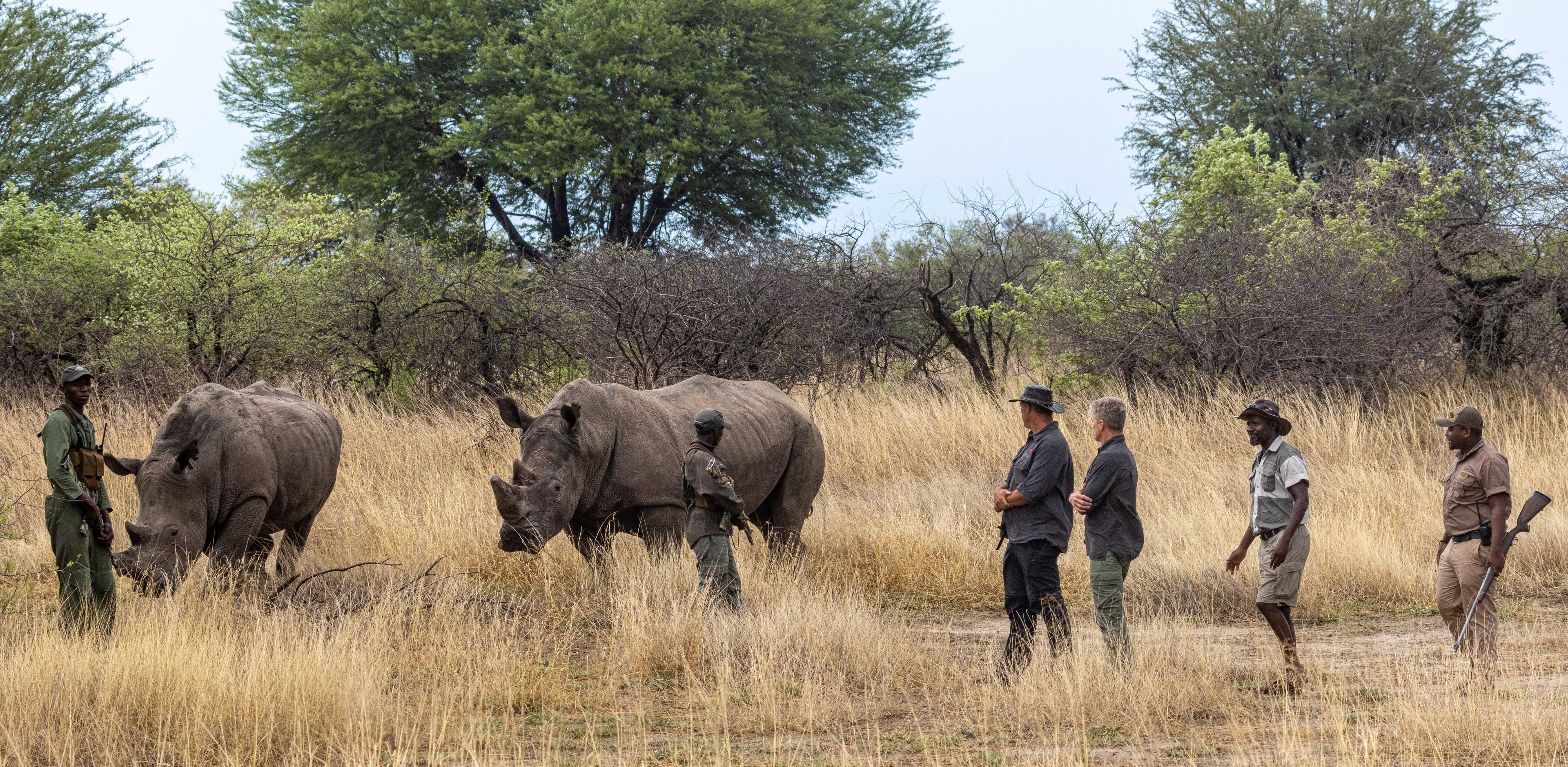 Rhino experience at Ngamo Wildlife Sanctuary