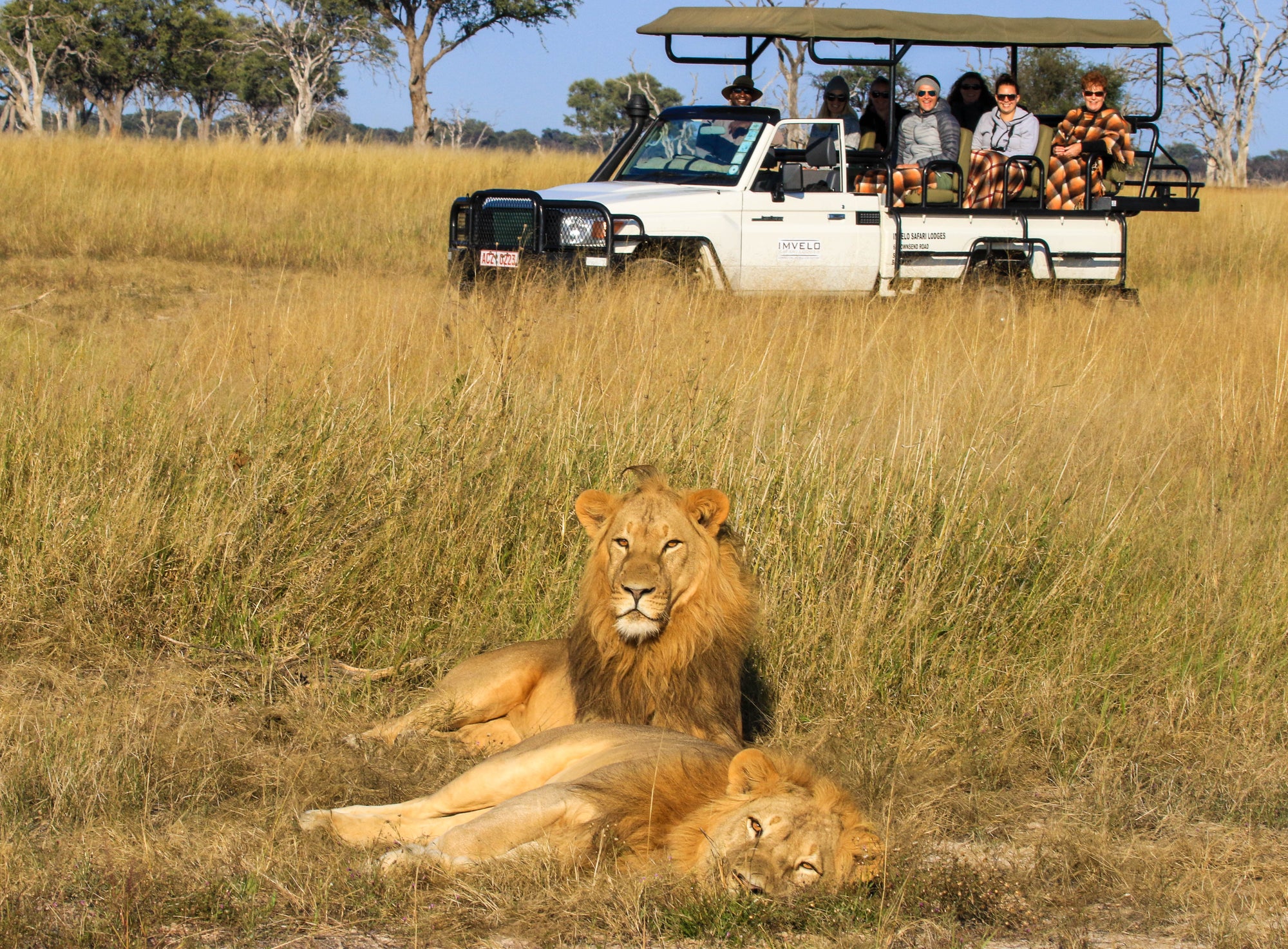 Game Drives