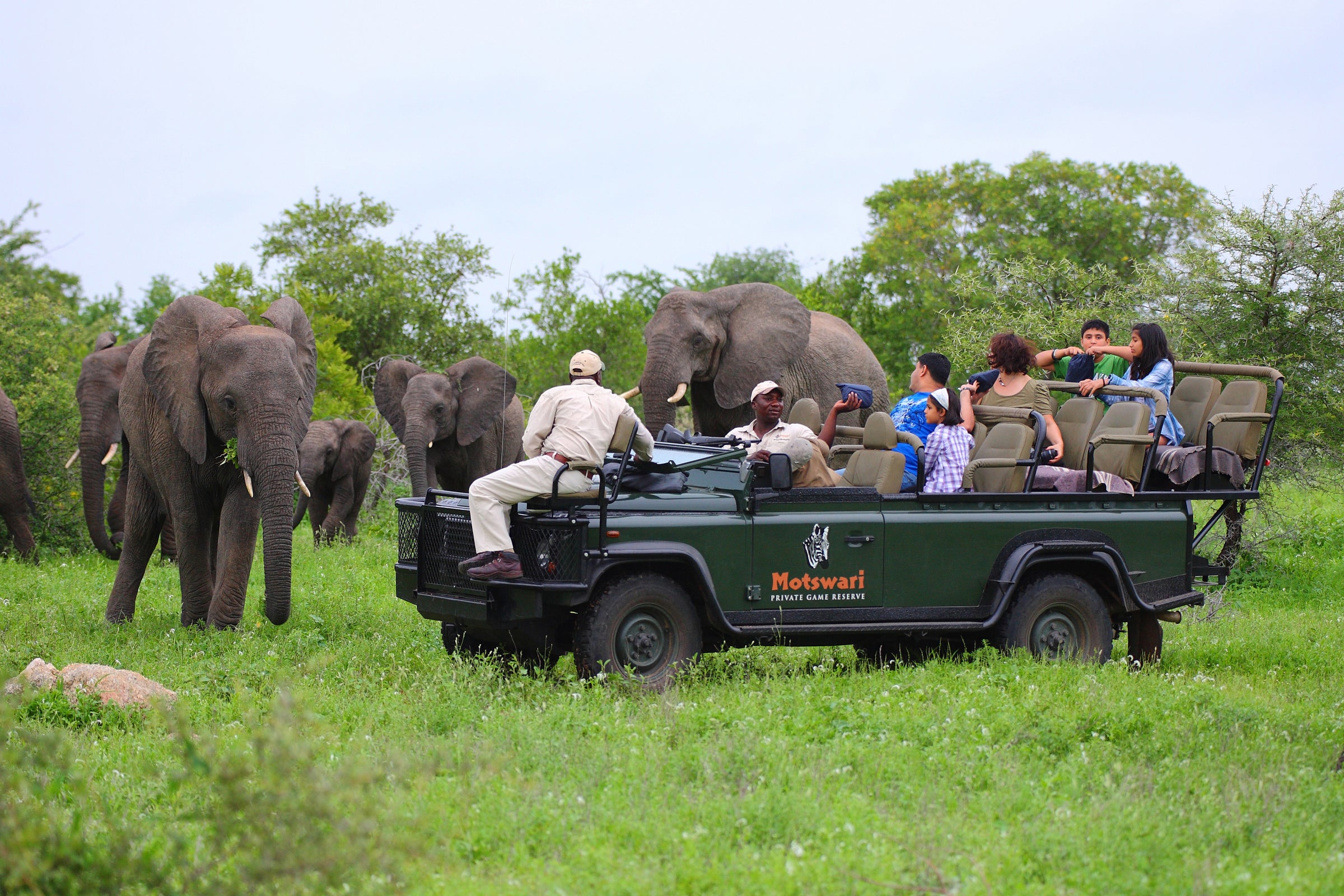 Geiger’s Camp Motswari Private Game Reserve