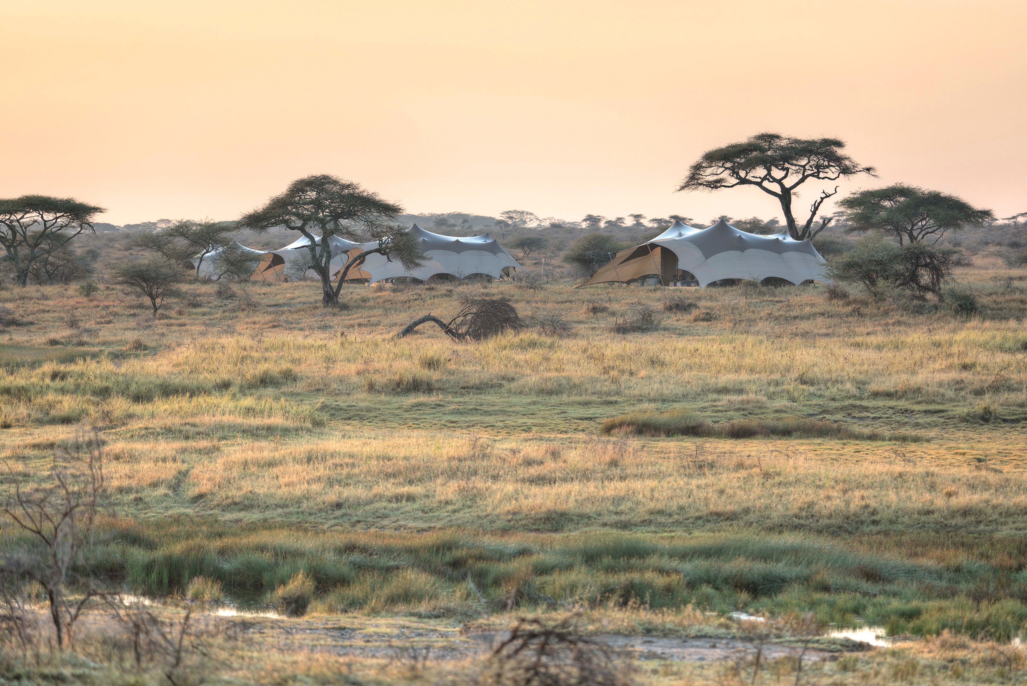 Namiri Plains - Camp Surrounds