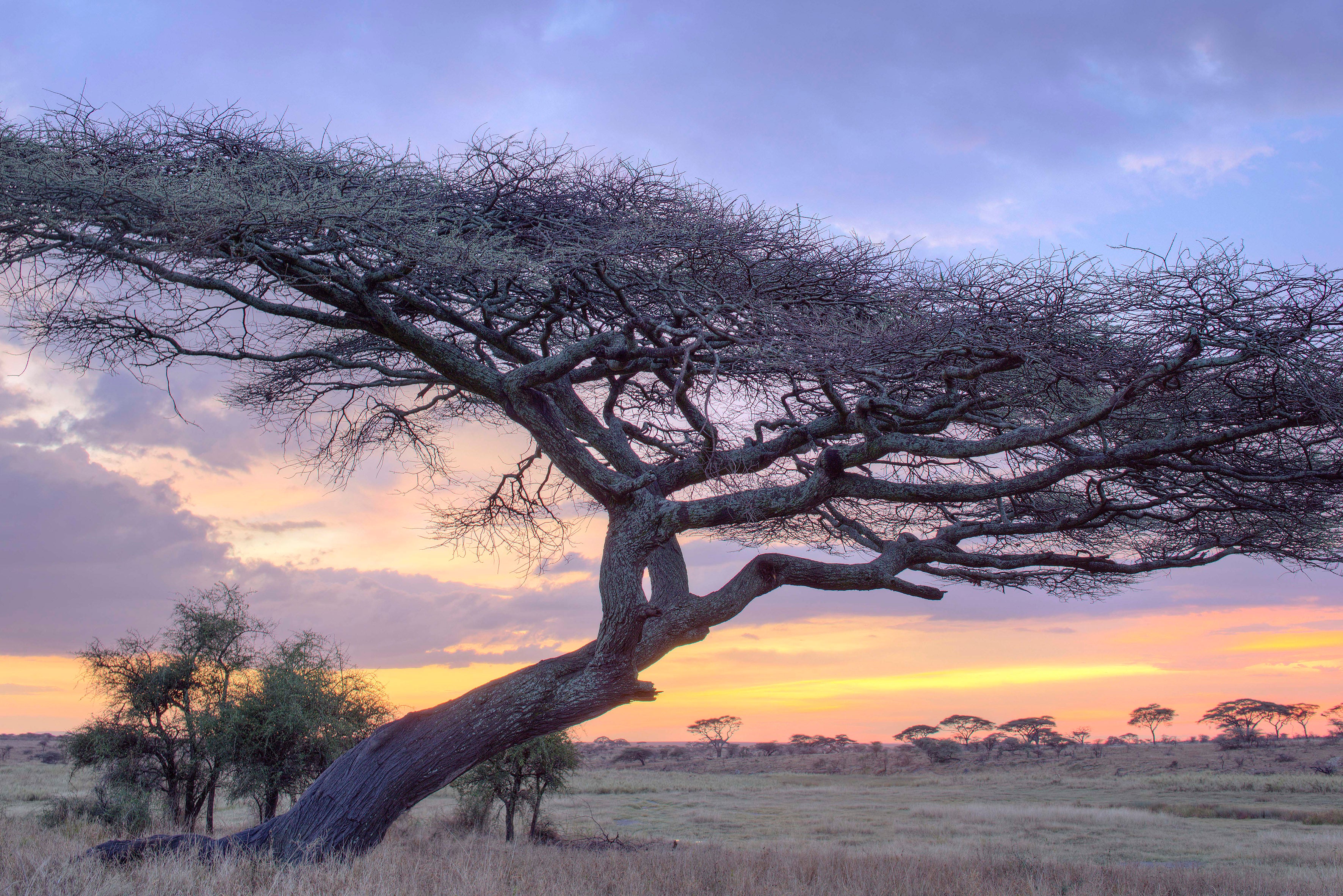 Namiri Plains - Landscape