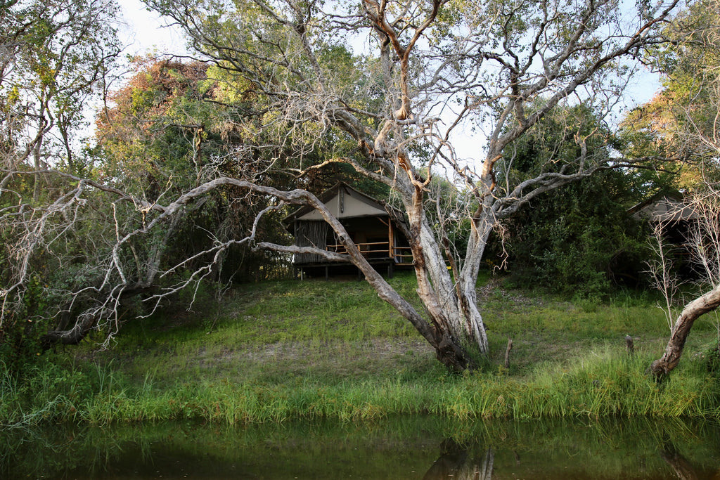 Luxury Zambezi Tented Chalets