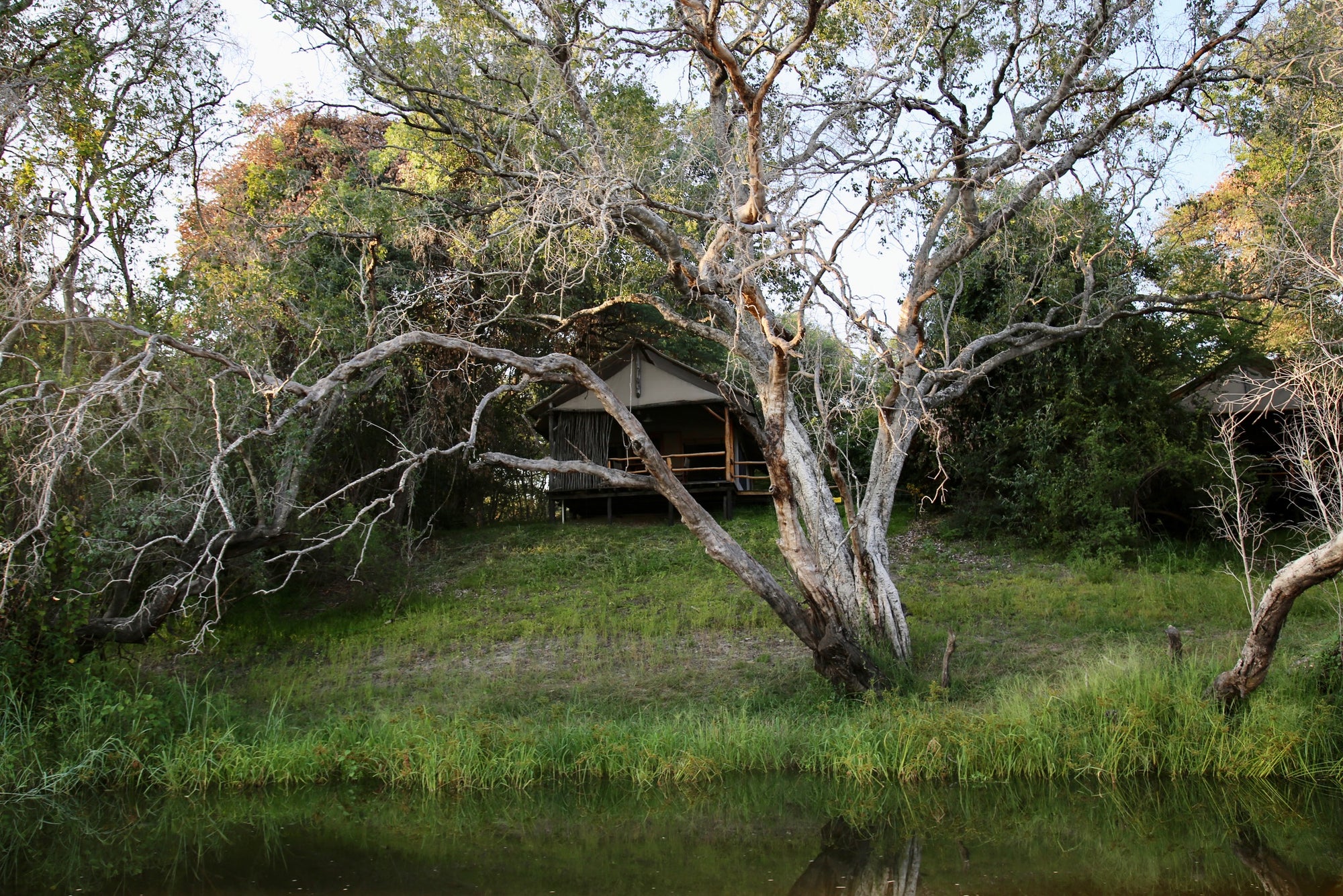 Luxury Zambezi Tented Chalets