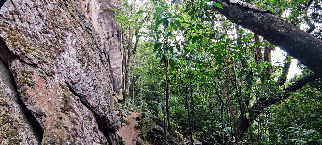 Trekking Abraão – Pico do Papagaio