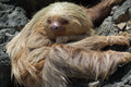 Tucanes Tours- Manuel Antonio National Park
