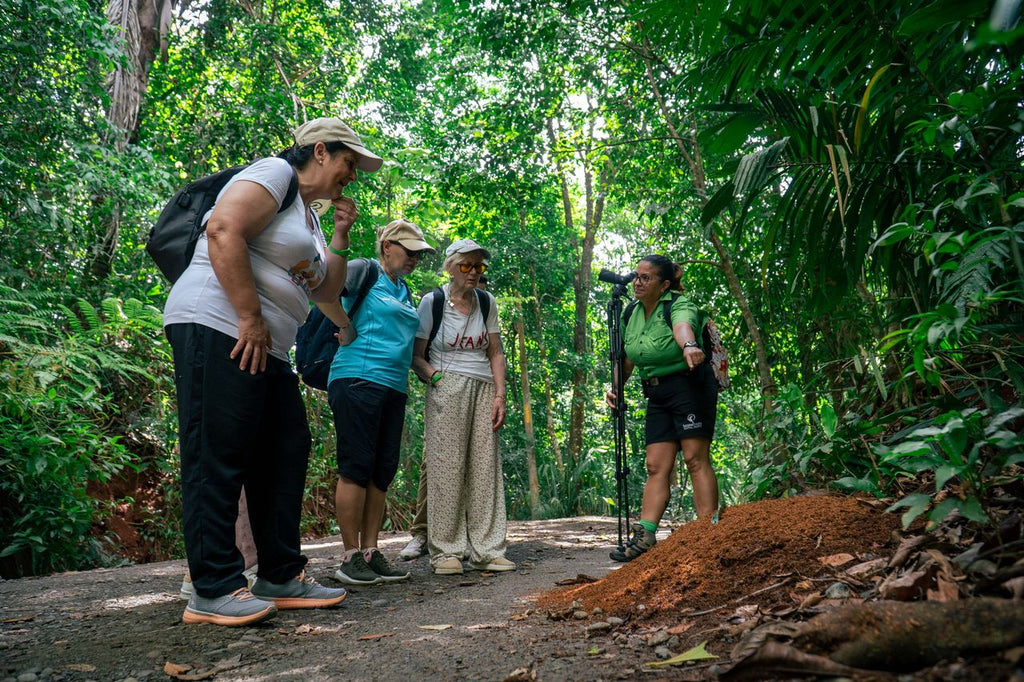 Tucanes Tours- Manuel Antonio National Park