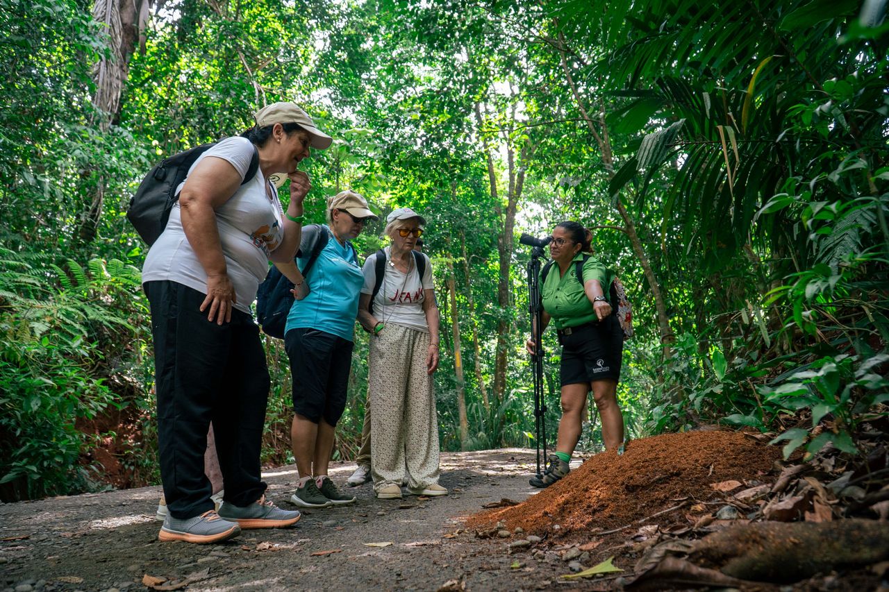 Tucanes Tours- Manuel Antonio National Park