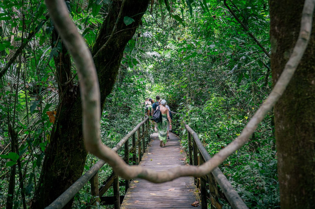 Tucanes Tours- Manuel Antonio National Park