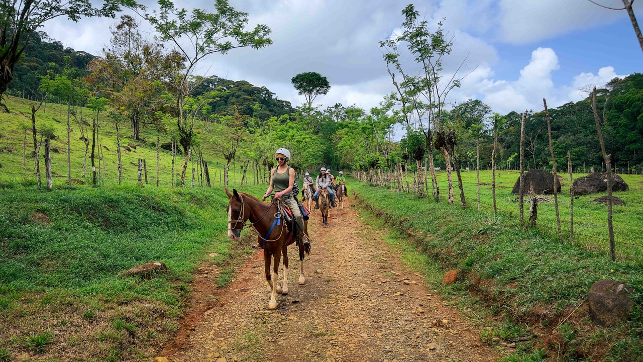 Tucanes Tours - Horseback Riding