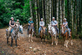 Tucanes Tours - Horseback Riding