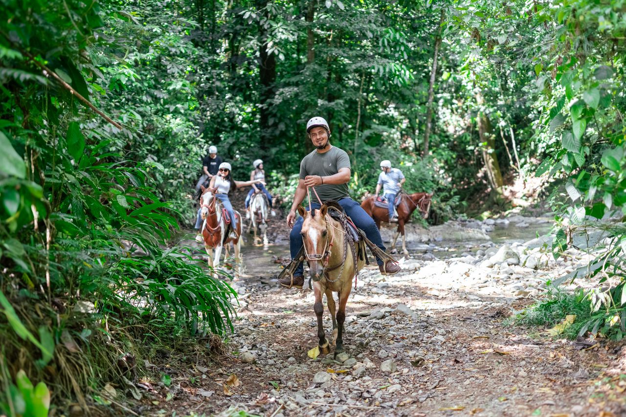 Tucanes Tours - Horseback Riding