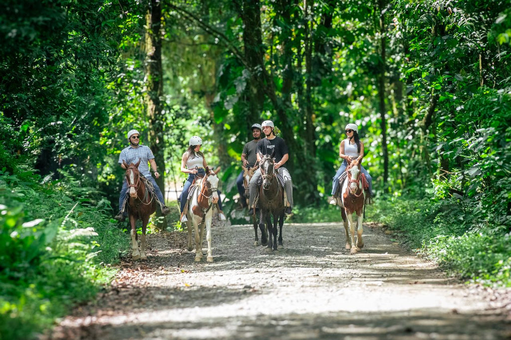 Tucanes Tours - Horseback Riding