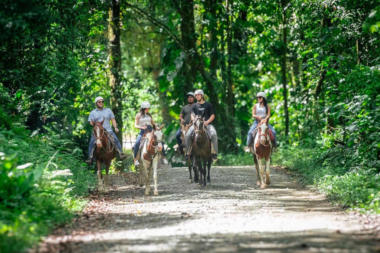 Tucanes Tours - Horseback Riding