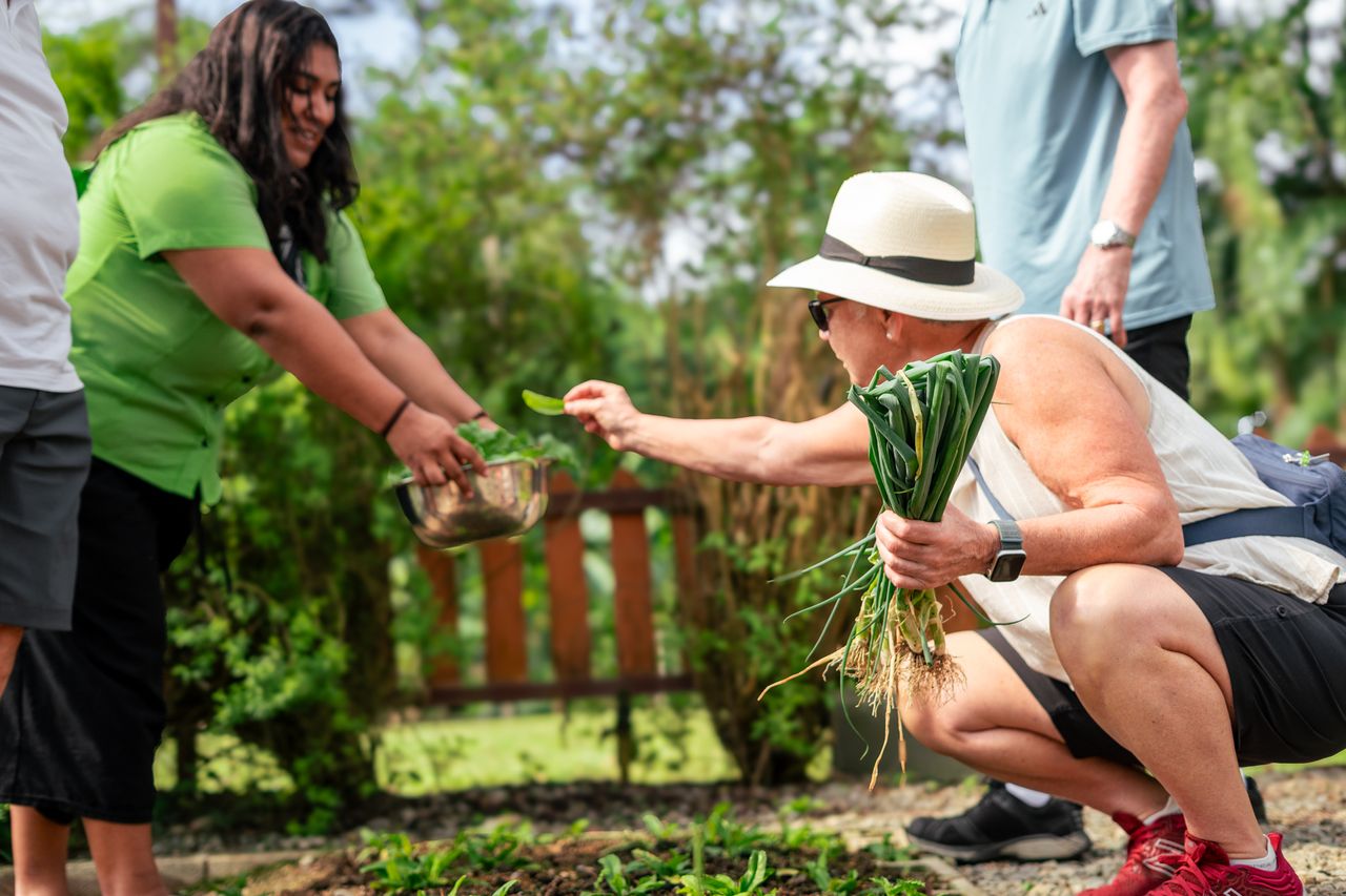 Tucanes Tours- Local Flavor Experience