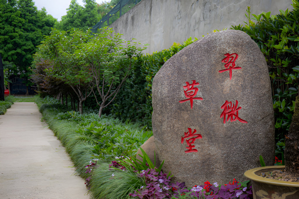Hangzhou Dianzi University