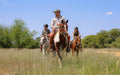 Otjiwa Collection - Savanna Luxury Villa : Horse riding
