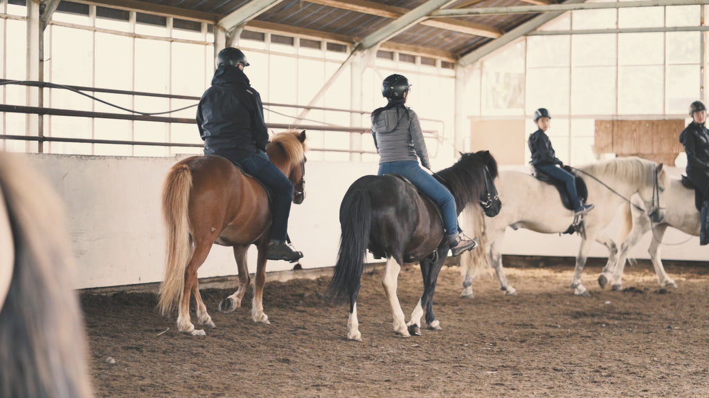 Sturlureykir Horse Farm
