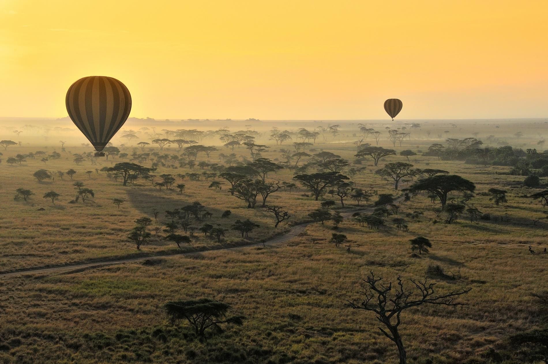 Serengeti Hot Air Balloon Ride