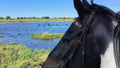 Bontsintsi Horse Safaris, Okavango Delta