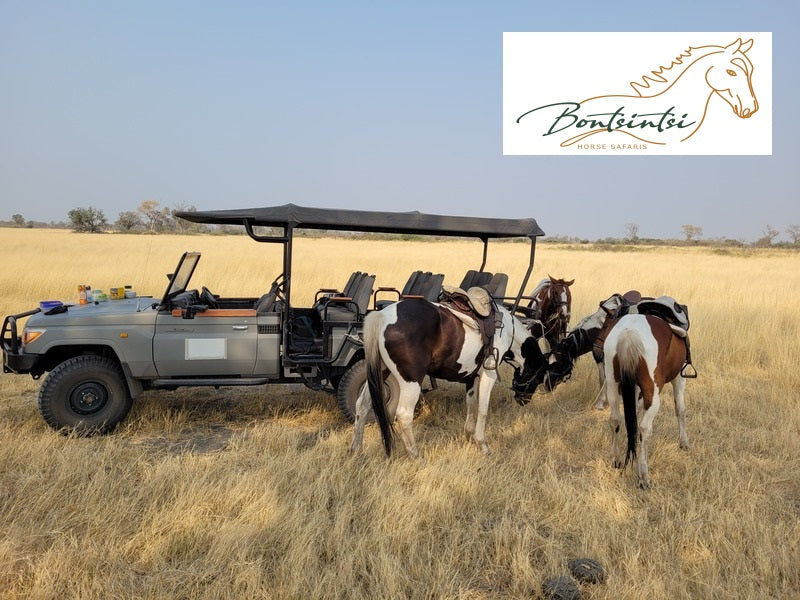 Bontsintsi Horse Safaris, Okavango Delta